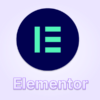 Elementor Pro Plugin